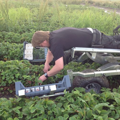 drangen-ladhallare-2000px drangen-ladhallare-2000px