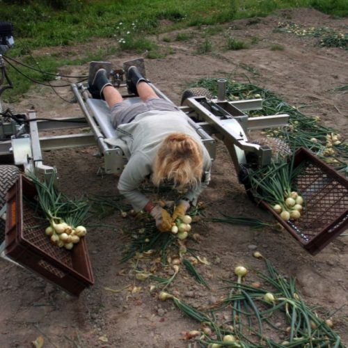 drangen-skord-840px drangen-skord-840px